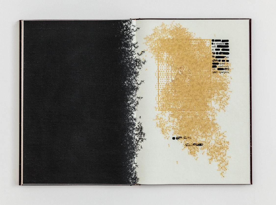 Emilio Isgrò, Les formiche di Manuzio non sono rosse, 2015. Emilio Isgrò, Les formiche di Manuzio non sono rosse, 2015.