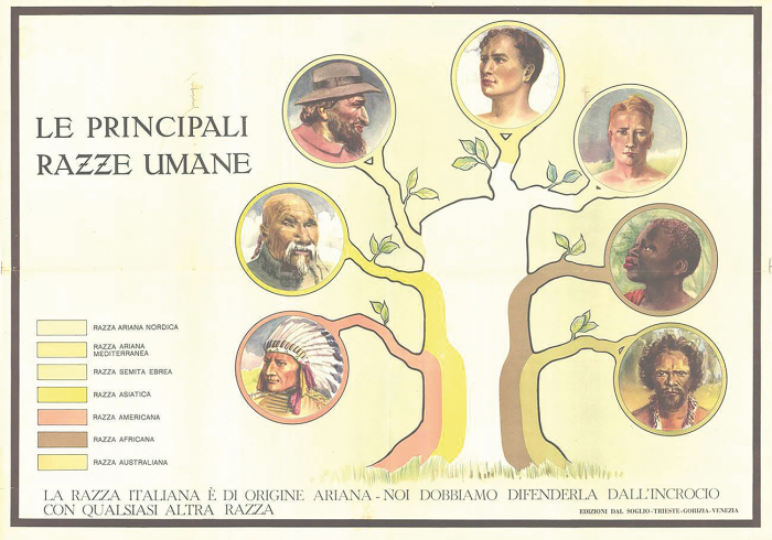 Le principali razze umane Le principali razze umane