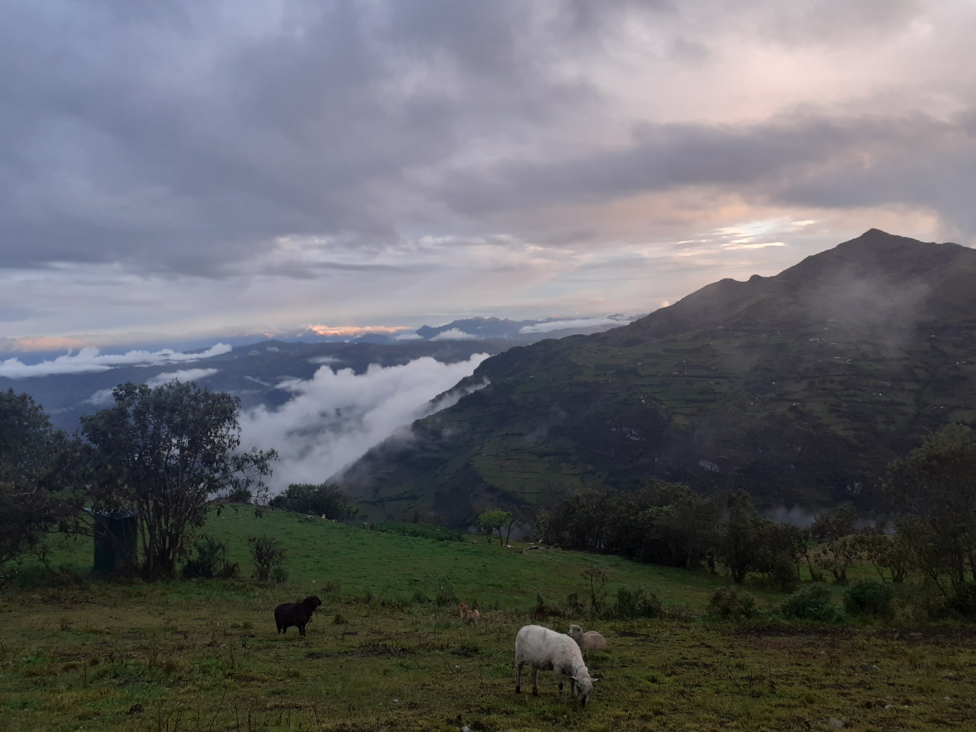 Paysage de la jalca depuis les abords d’une maison rurale. Novembre 2019 © Martín Cavero Paysage de la jalca depuis les abords d’une maison rurale. Novembre 2019 © Martín Cavero