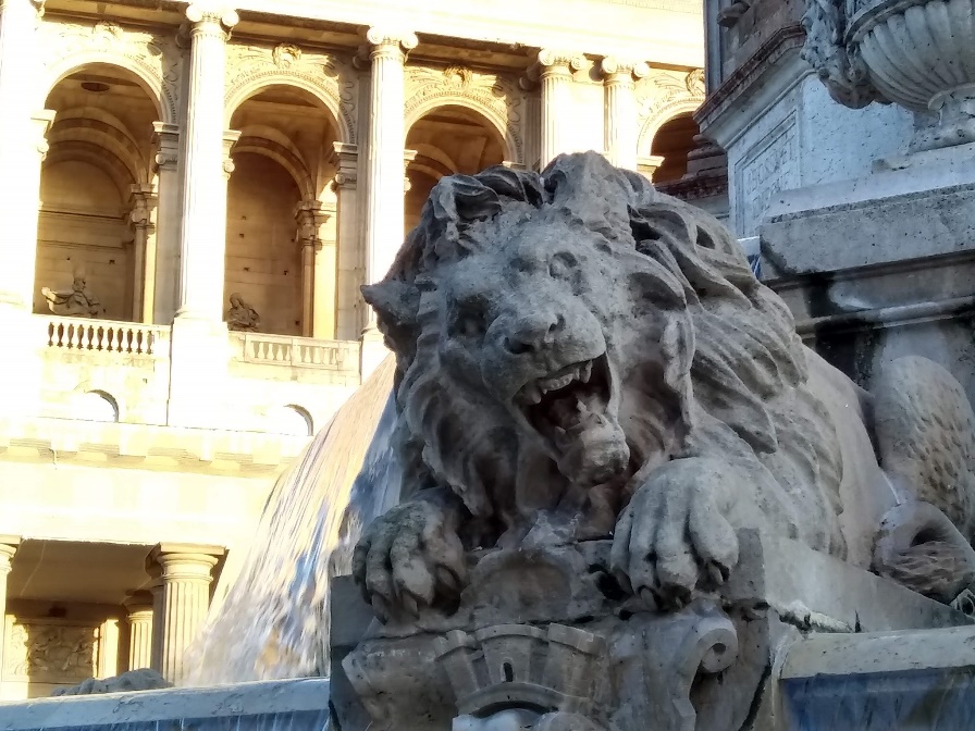 León de Saint-Sulpice. © Ana Clarisa Agüero León de Saint-Sulpice. © Ana Clarisa Agüero
