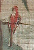 Elements of Dürer's paradise in the Calw painting: the parrot Elements of Dürer's paradise in the Calw painting: the parrot