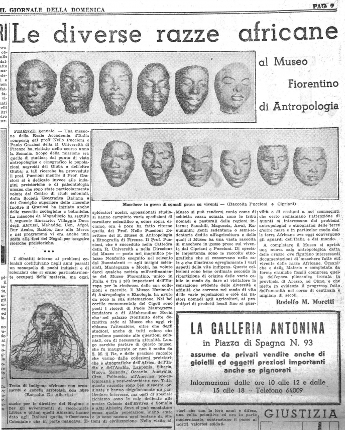 À gauche : article de Rodolfo Moretti, « Le diverse razze africane », Il Giornale della Domenica, 12-13 janvier 1936, p. 7.