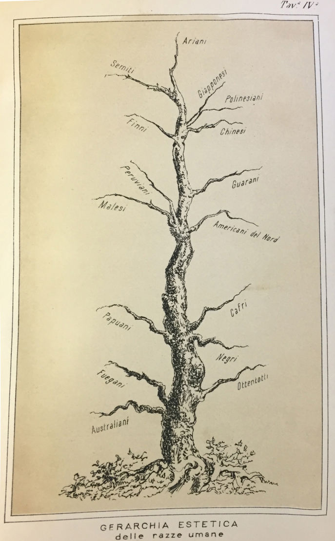 Images 1, 2, 3. Paolo Mantegazza, Fisionomia e mimica, Milan, Fratelli Dumolard, 1881, tav III, IV, V.