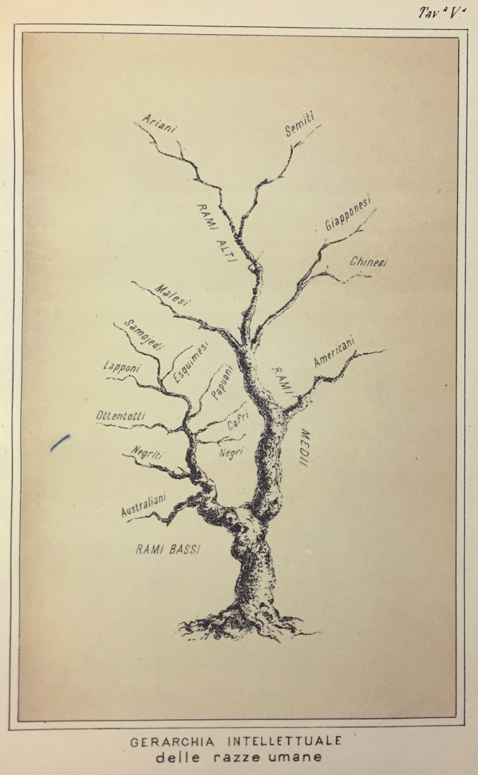 Images 1, 2, 3. Paolo Mantegazza, Fisionomia e mimica, Milan, Fratelli Dumolard, 1881, tav III, IV, V.