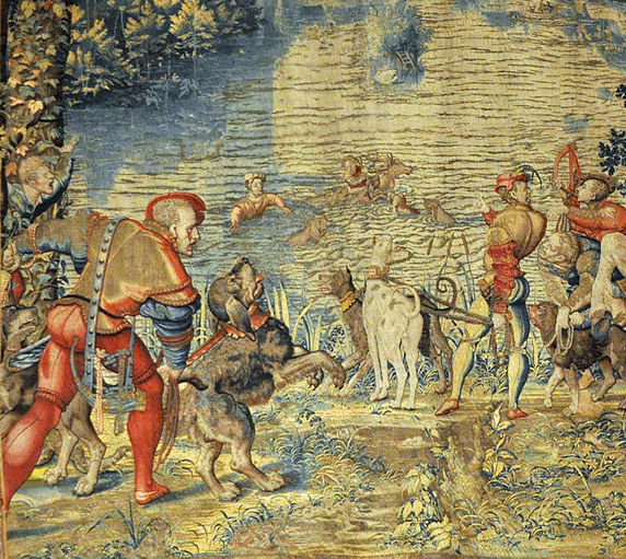 Chasse et noyade de la proie. Le cerf pourchassé fuit dans un étang Chasse et noyade de la proie. Le cerf pourchassé fuit dans un étang