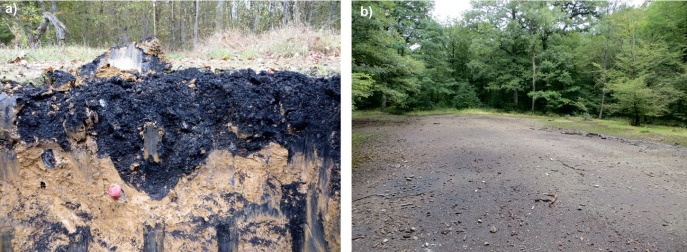 Pollutions sévères des sols par des résidus de brulage de Restes Explosifs de Guerre chimique (a : Place à Gaz, Grémilly, Meuse) et conventionnels (b : Liessies, Nord). © D. Hubé, 2014, 2017 Pollutions sévères des sols par des résidus de brulage de Restes Explosifs de Guerre chimique (a : Place à Gaz, Grémilly, Meuse) et conventionnels (b : Liessies, Nord). © D. Hubé, 2014, 2017