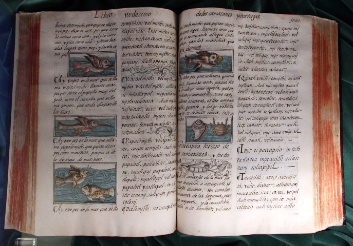 Bernardino de Sahagún Histoire générale des choses de Nouvelle Espagne vol. 2. Wikisource