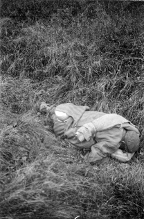 ICRC, Willy Pfister, 21.04.1945: World War II. Death march from the Oranienburg-Sachsenhausen to the Wittstock concentration camps, V-P-HIST-01548-06 and V-P-HIST-01549-06.