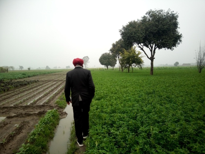 Visite des parcelles de cultures avec une personne pour guide