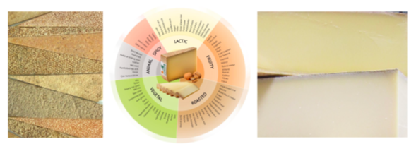 De gauche à droite : croûtes de fromage de Comté (© Claire Perrot) ; roue des arômes du Comté Aroma en anglais (© CIGC) ; étalage de Comté au marché (© Shields-Argelès).