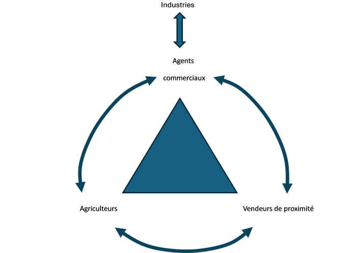 Réseau pyramidal d’interdépendance. 