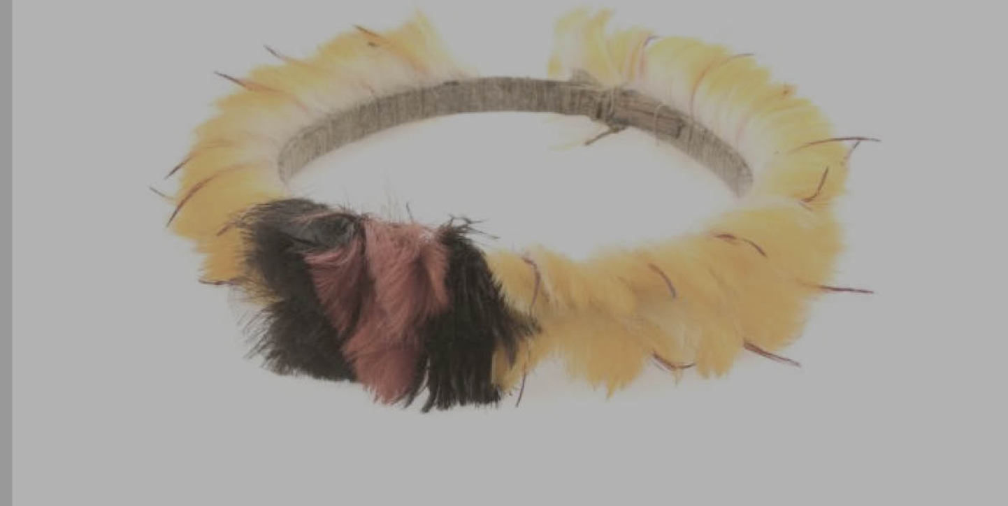 image d'une bague en plume